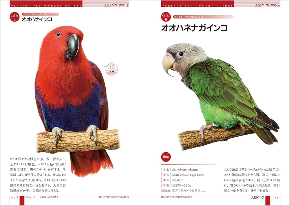 【裁断済み】オウムインコ類マニュアル 20200710055407-768x1094.jpg